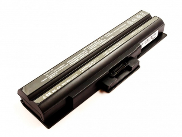 Akku für Sony VAIO VGN-AW, VGN-CS, VGN-NS, wie VGP-BPS13, VGP-BPL21, BPS21, 5200 mAh